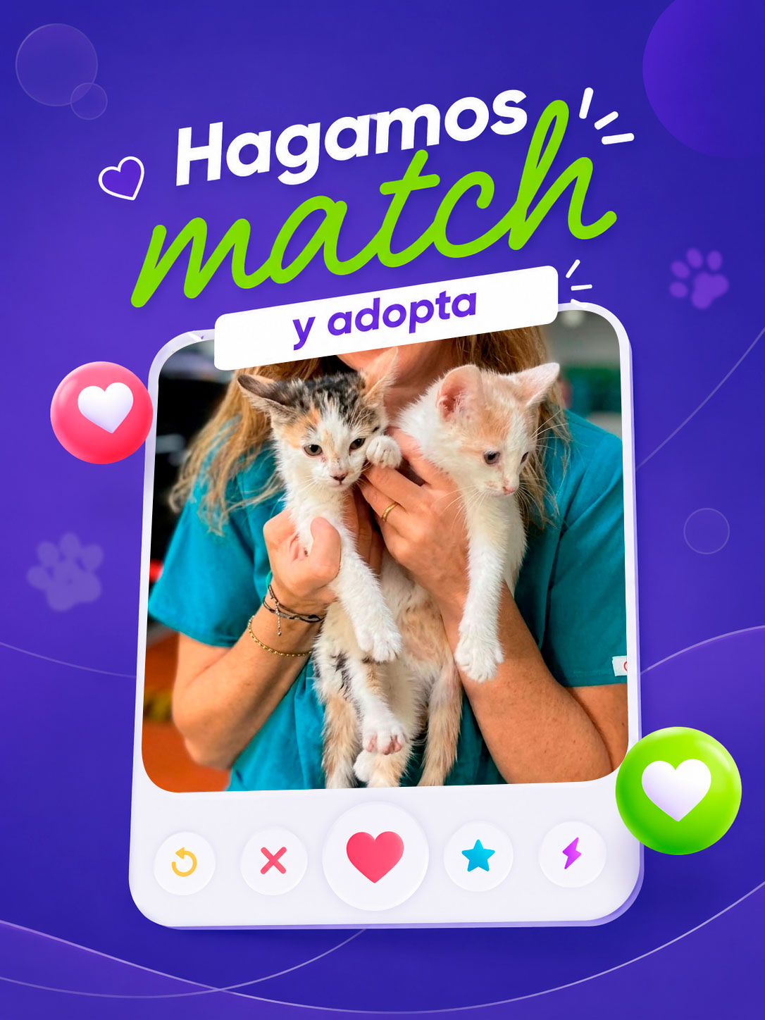adopciones-perritos-2